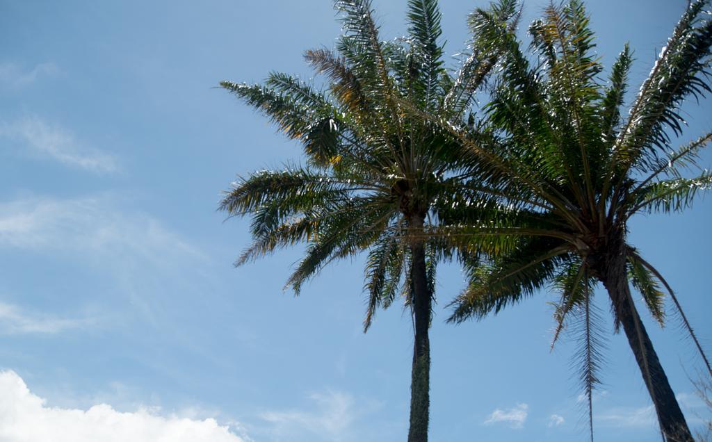 Pousada Vila Flor Da Mata Trancoso Exterior foto
